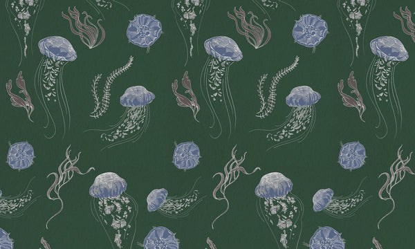 Sea Lettuce